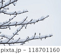 小枝に積もった雪のクローズアップ 118701160