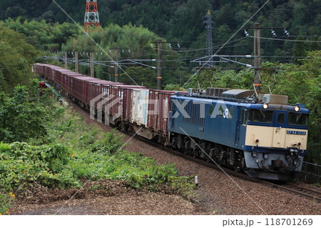 自然豊かな木曽路を走るEF64牽引の貨物列車(81レ)_2024/9/22撮影 自然豊かな木曽路を走るEF64牽引の貨物列車(81レ)_2024/9/22撮影 118701269