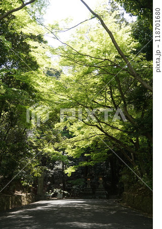石上神宮・参道 石上神宮・参道 118701680
