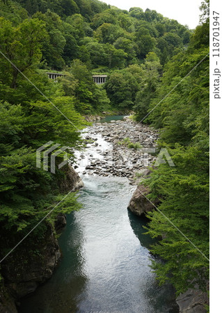 240812 猿飛橋（新潟県津南町）018 118701947
