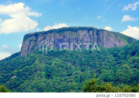 テーブルマウンテン 118702080