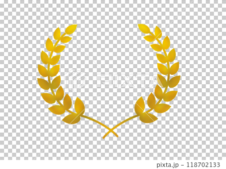 葉子的圖案 118702133