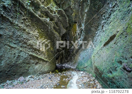 静寂に包まれた伊尾木洞内部の情景 118702278
