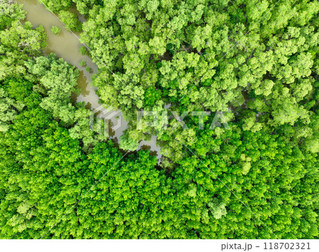 Aerial view green mangrove forest. Natural carbon sinks. Mangroves trees capture CO2. Blue carbon ecosystems. Mangroves absorb carbon dioxide emissions and mitigating global warming. Green ecosystem. Aerial view green mangrove forest. Natural carbon sinks. Mangroves trees capture CO2. Blue carbon ecosystems. Mangroves absorb carbon dioxide emissions and mitigating global warming. Green ecosystem. 118702321