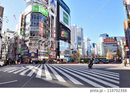 歌舞伎町入口の横断歩道 118702388
