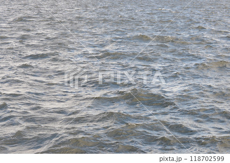 海 118702599