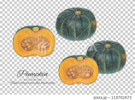 水彩畫的南瓜向量圖素材 118702673
