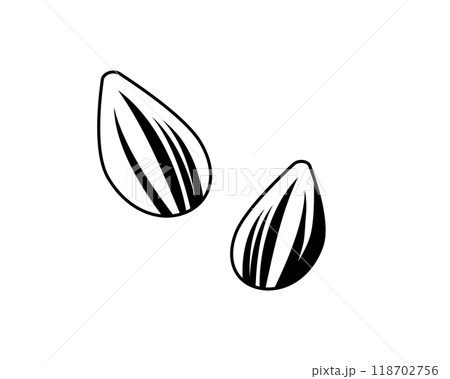 ヒマワリの種のシンプルな白黒イラスト 118702756