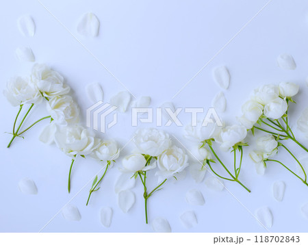 白バックに白いミニ薔薇の花びら、バラの花びらの背景 118702843