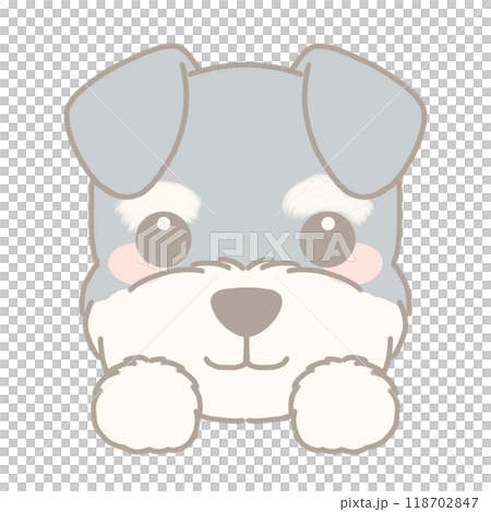 Illustration of a miniature schnauzer 118702847