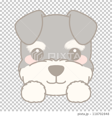 Illustration of a miniature schnauzer 118702848