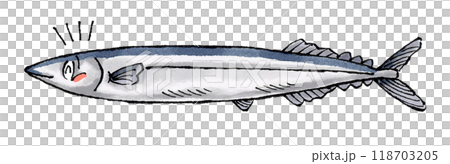 喜ぶサンマ 118703205