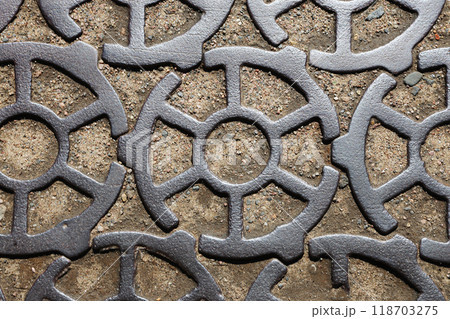 A close-up of the cast-iron sidewalk. A close-up of the cast-iron sidewalk. 118703275