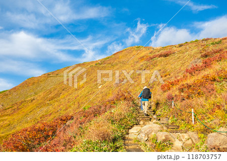 秋の唐松岳登山(八方池山荘~八方山) 秋の唐松岳登山(八方池山荘~八方山) 118703757