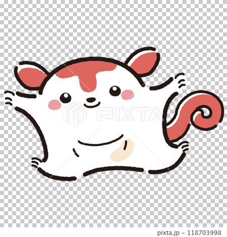 Simple and cute hand-drawn flying squirrel character (front) 118703998