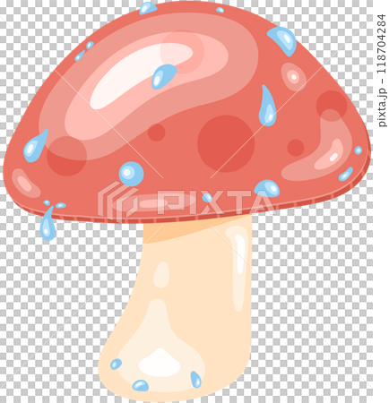 a mushroom on a white background a mushroom on a white background 118704284