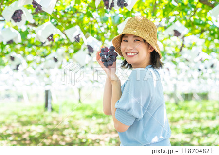 ぶどう狩りをする女性 果物狩りをする女性 ぶどう狩りをする女性 果物狩りをする女性 118704821
