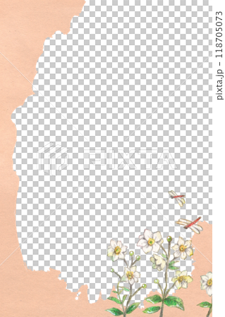 手描き水彩画のシュウメイギクとトンボの秋空フレーム背景　縦向き 118705073