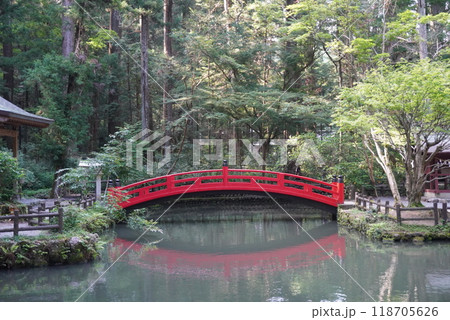 池に架かる赤い橋 118705626