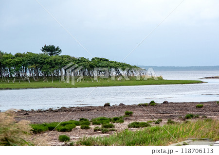 北海道　野付半島　ナラワラ 118706113