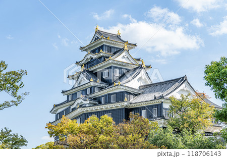 岡山県岡山市　日本100名城　令和の大改修を終えた岡山城天守 118706143