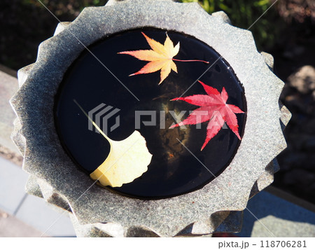 浮かぶ紅葉 浮かぶ紅葉 118706281