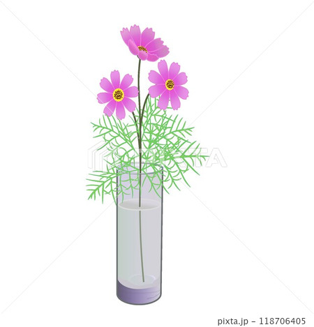 ガラスの花瓶にさされたコスモスの花のイラスト 118706405