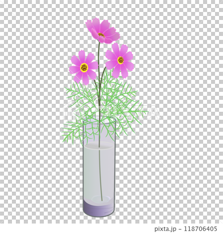 ガラスの花瓶にさされたコスモスの花のイラスト 118706405