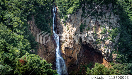 新緑に映える滝 118708098