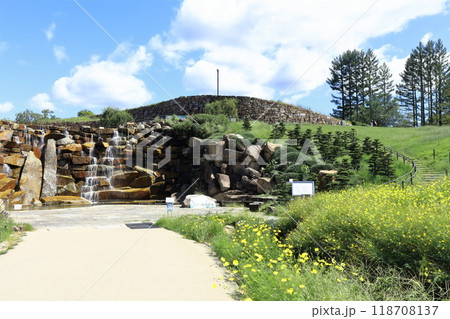 【香川県】秋の国営讃岐まんのう公園（昇竜の滝とコスモス） 118708137
