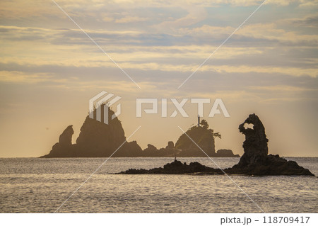 【静岡県】黄金色に輝く大田子海岸・奇岩のメガネッチョ 118709417