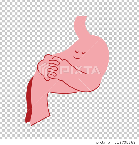 Healthy stomach, stomach at rest, sleeping stomach 118709568