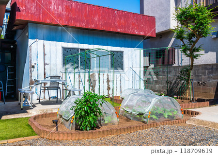 小さな家庭菜園 118709619