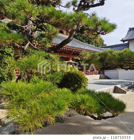 松の後ろに本堂~千眼寺 松の後ろに本堂~千眼寺 118710333