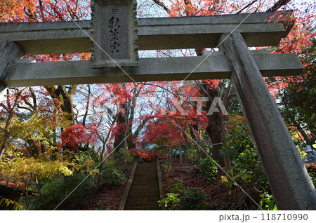紅葉に包まれた柿生の里 紅葉に包まれた柿生の里 118710990