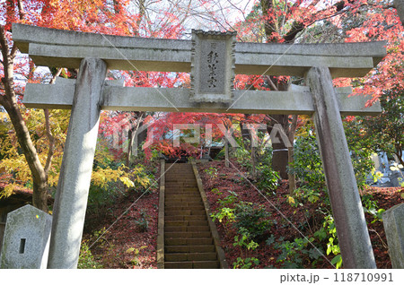 紅葉に包まれた柿生の里 紅葉に包まれた柿生の里 118710991