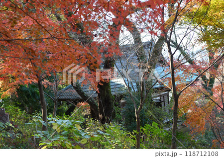 紅葉に包まれた柿生の里 紅葉に包まれた柿生の里 118712108