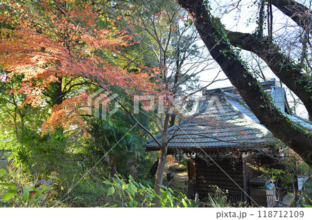紅葉に包まれた柿生の里 紅葉に包まれた柿生の里 118712109
