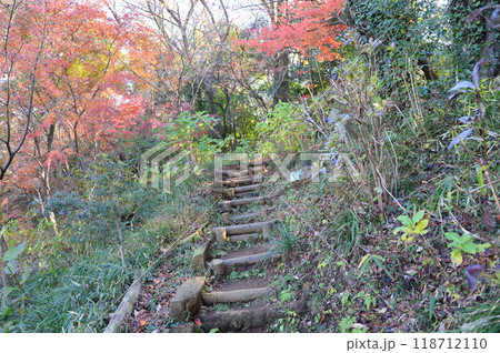 紅葉に包まれた柿生の里 紅葉に包まれた柿生の里 118712110