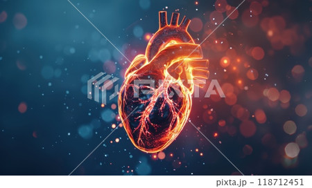 Anatomy of the human heart. Medical concept of health care. Low poly design. Geometric background. 3d illustration 118712451