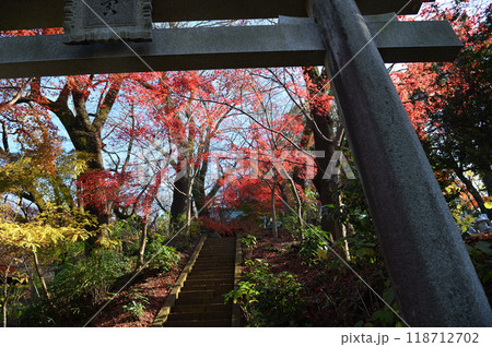 紅葉に包まれた柿生の里 紅葉に包まれた柿生の里 118712702