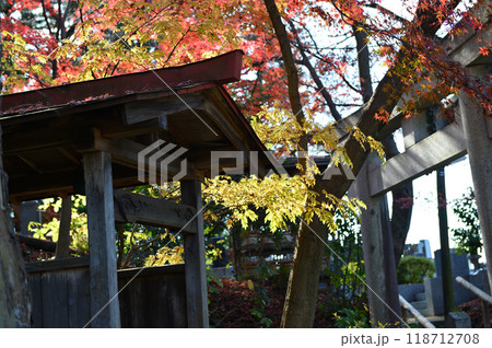 紅葉に包まれた柿生の里 紅葉に包まれた柿生の里 118712708