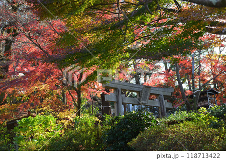 紅葉に包まれた柿生の里 紅葉に包まれた柿生の里 118713422