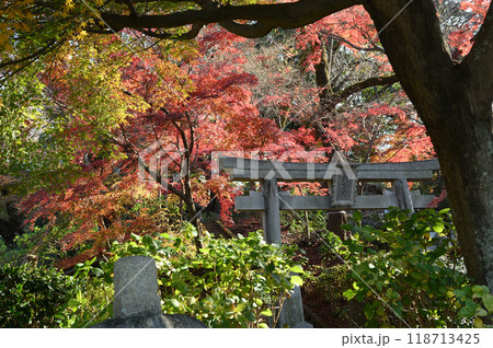 紅葉に包まれた柿生の里 紅葉に包まれた柿生の里 118713425