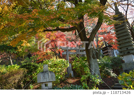 紅葉に包まれた柿生の里 紅葉に包まれた柿生の里 118713426