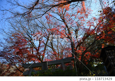 紅葉に包まれた柿生の里 紅葉に包まれた柿生の里 118713429