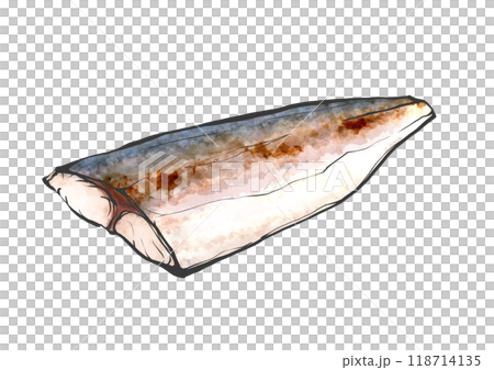炙り〆サバの手描き筆絵風イラスト 118714135