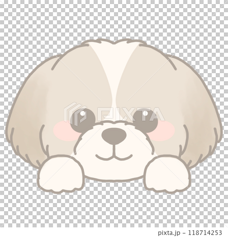 西施犬的插圖 118714253