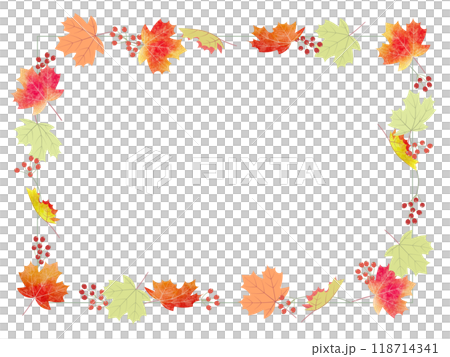 秋天的楓樹和紅色水果框架 秋天的楓樹和紅色水果框架 118714341