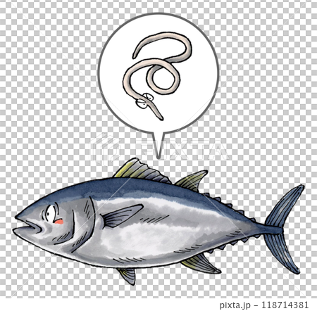 寄生在鮪魚上的異尖線蟲 118714381